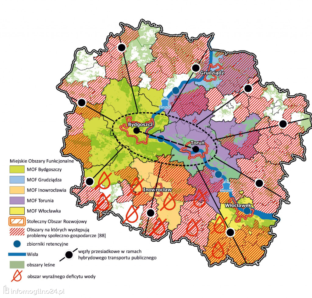 Statystyki dla kujawsko-pomorskiego
