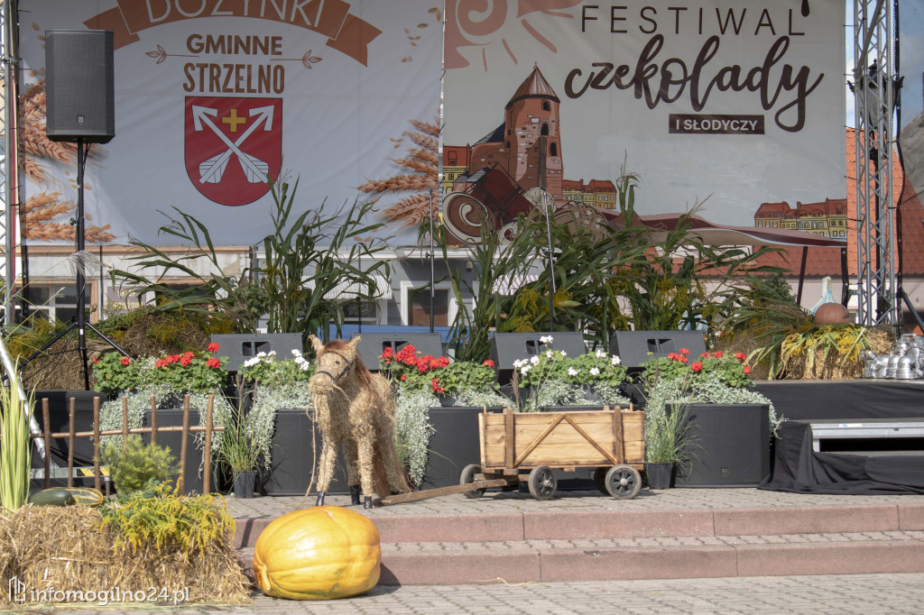 NASZ PATRONAT: W Strzelnie trwa Festiwal Czekolady i Słodyczy [ZDJĘCIA]