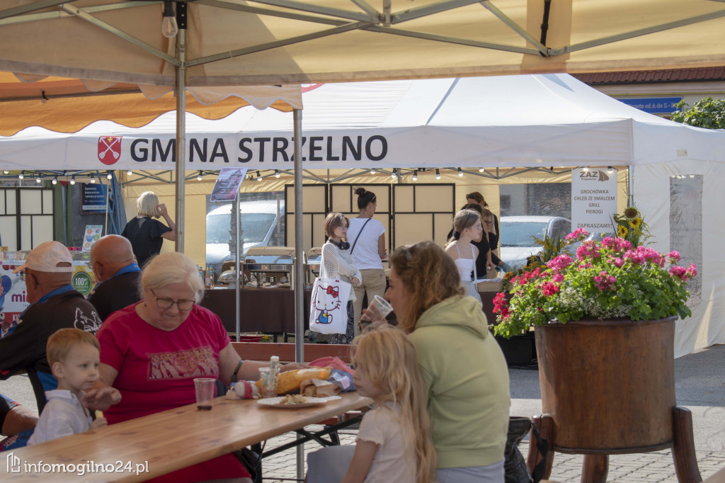 NASZ PATRONAT: W Strzelnie trwa Festiwal Czekolady i Słodyczy [ZDJĘCIA]