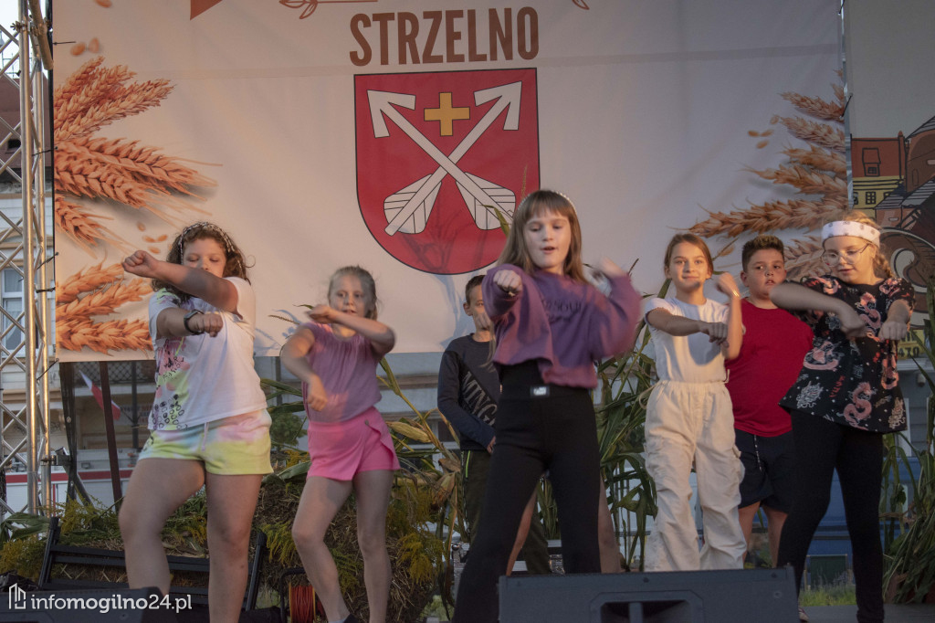 NASZ PATRONAT: W Strzelnie trwa Festiwal Czekolady i Słodyczy [ZDJĘCIA]