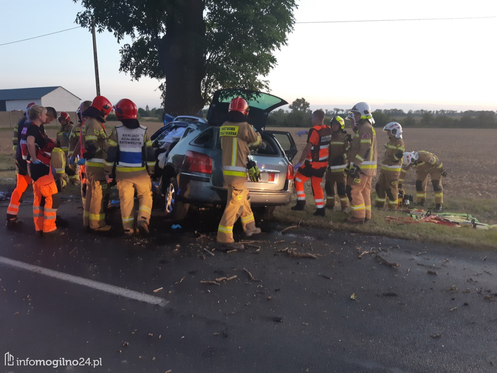 Region: Śmiertelny wypadek. Kierowca samochodu uderzył w drzewo