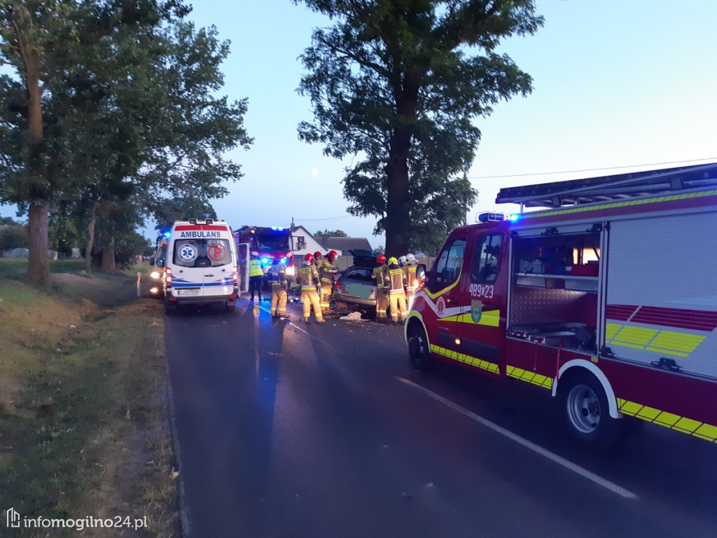 Region: Śmiertelny wypadek. Kierowca samochodu uderzył w drzewo