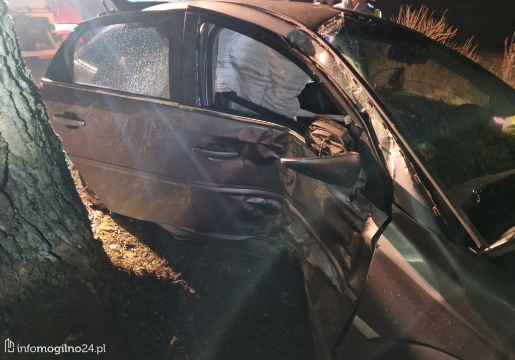 Samochód uderzył w drzewo w Zofijówce. Interweniowały służby