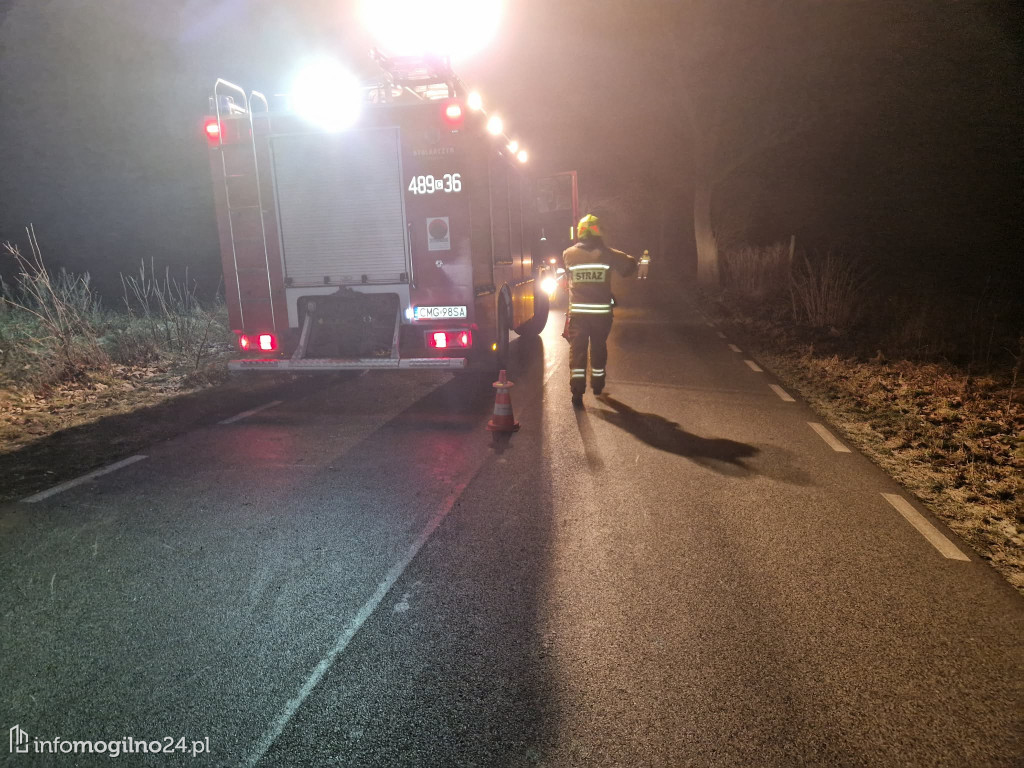 Samochód uderzył w drzewo w Zofijówce. Interweniowały służby