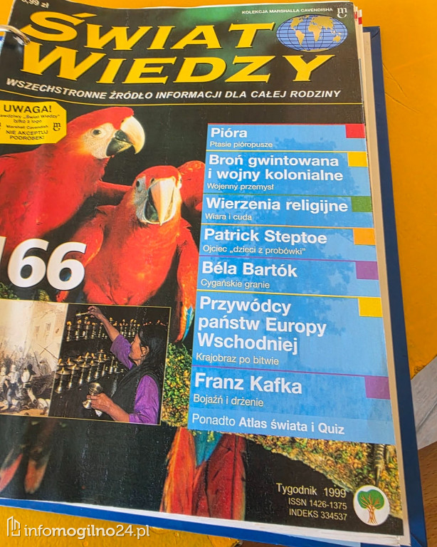 Radny Jankiewicz o przyszłości oświaty: \