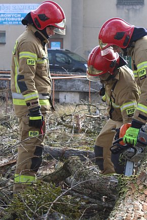 Rozpoczęcie prac przygotowawczych pod nową siedzibę służb mundurowych w Mogilnie-163