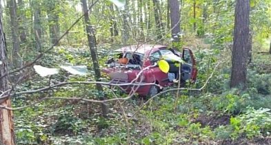 18-latek za kierownicą na podwójnym gazie został zatrzymany-7610