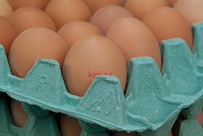 Salmonella na jajach znanej marki. Nie jedz, jeśli masz je w lodówce!-9495