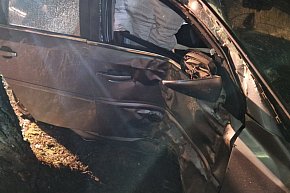 Samochód uderzył w drzewo w Zofijówce. Interweniowały służby-181