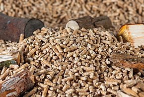 Drożeje popularny opał. Miliony Polaków dostaną po kieszeni tej zimy-10253