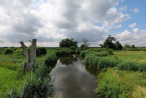 Co dalej z nowym parkiem narodowym? Minister klimatu zdradza plan po wecie-10327