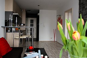 Rewolucja w wynajmie na doby. Nadchodzi koniec "wolnej amerykanki"-10478